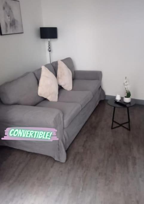 Appartement Coeur De Ville! 푸아 외부 사진